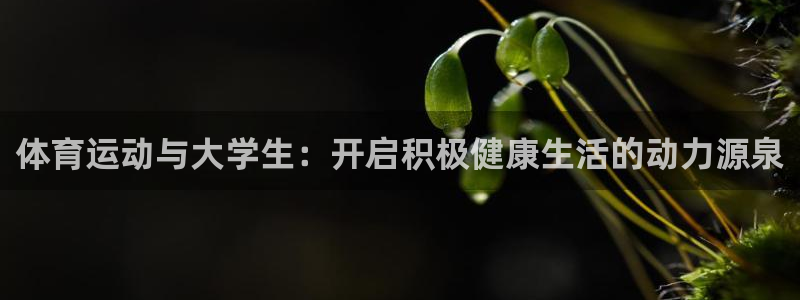 沐鸣平台主管