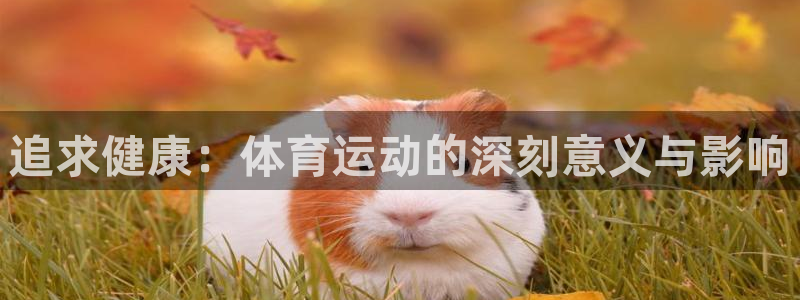 沐鸣注册地址