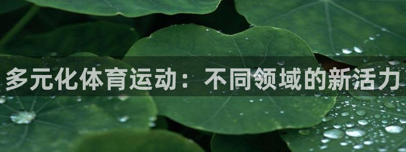 东莞市沐鸣电子科技有限公司
