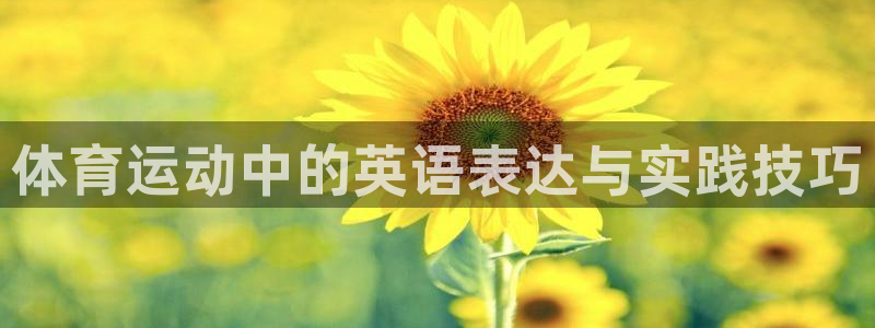 沐鸣登录网址