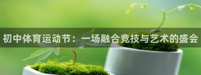 沐鸣体育官网