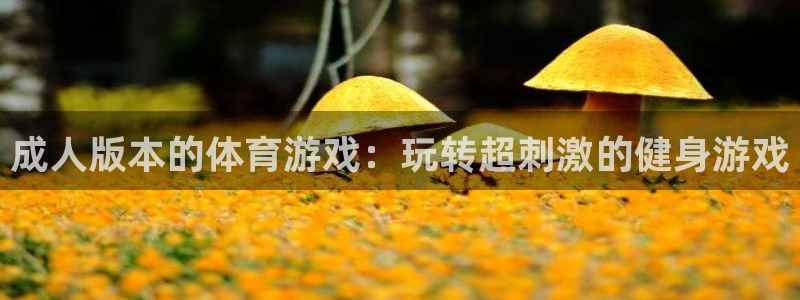 沐鸣3登录
