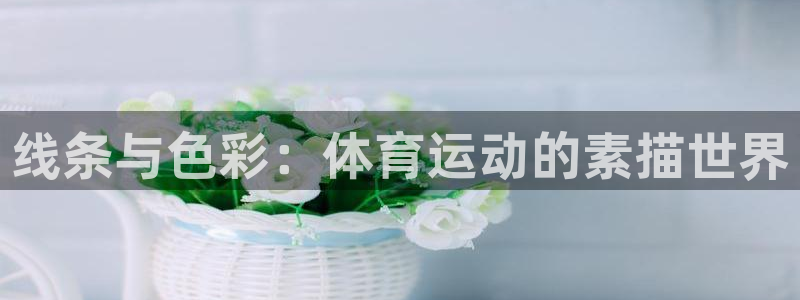 沐鸣2代理注册