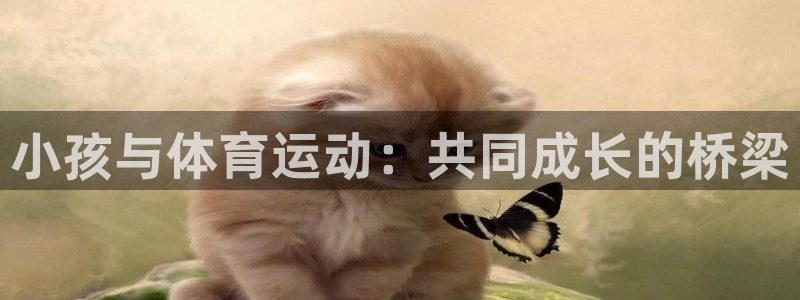沐鸣3代理